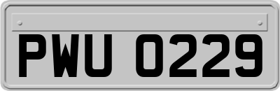 PWU0229