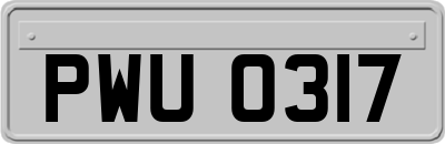 PWU0317