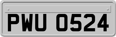 PWU0524