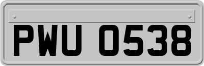 PWU0538