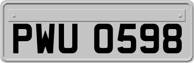 PWU0598