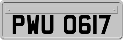 PWU0617