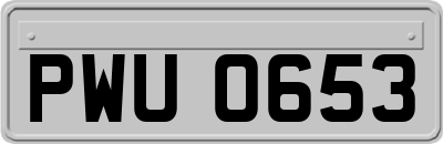 PWU0653