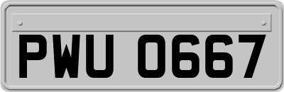 PWU0667