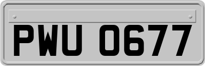 PWU0677