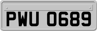 PWU0689