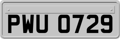 PWU0729