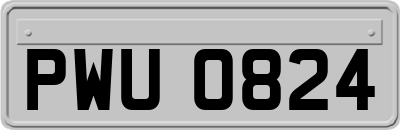 PWU0824