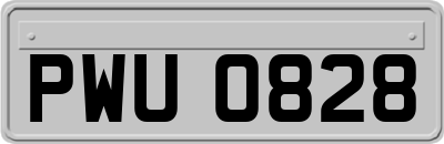 PWU0828