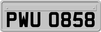 PWU0858