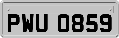 PWU0859