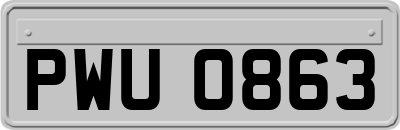 PWU0863