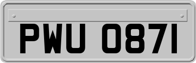 PWU0871