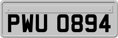 PWU0894