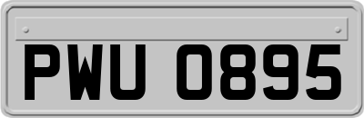 PWU0895