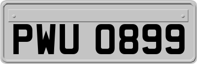 PWU0899