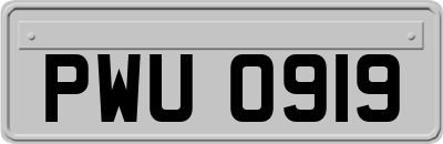 PWU0919