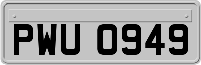 PWU0949