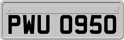 PWU0950