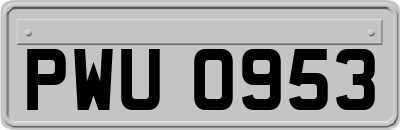 PWU0953