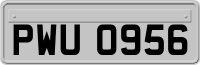 PWU0956