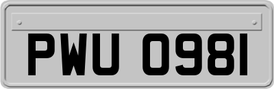 PWU0981