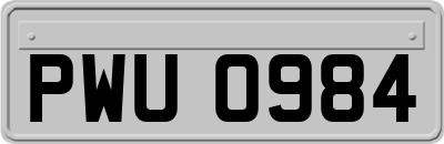 PWU0984