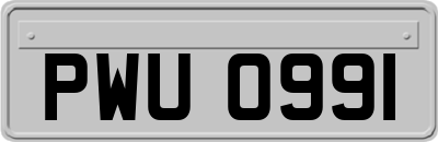 PWU0991