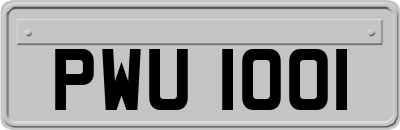 PWU1001