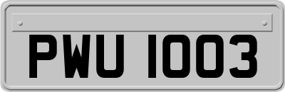 PWU1003