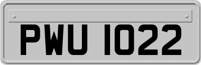 PWU1022