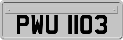 PWU1103