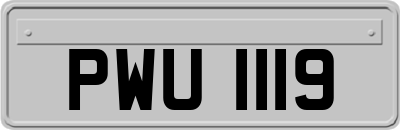 PWU1119