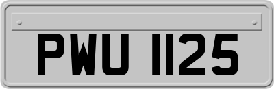 PWU1125