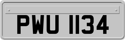 PWU1134