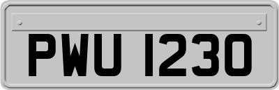 PWU1230
