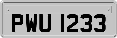 PWU1233
