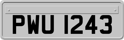 PWU1243