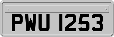 PWU1253