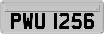 PWU1256