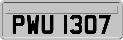 PWU1307