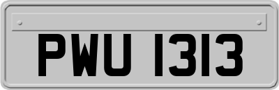 PWU1313