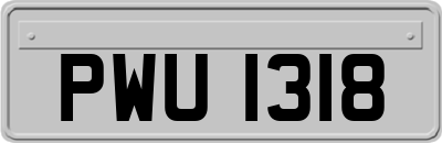 PWU1318