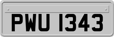PWU1343