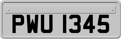 PWU1345