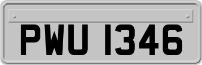 PWU1346