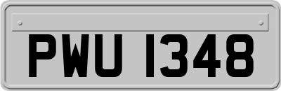 PWU1348