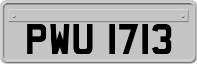 PWU1713