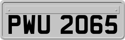 PWU2065