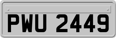 PWU2449